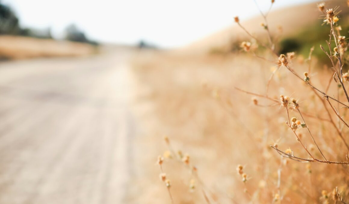 Foto por: Sixteen Miles Out/ Unsplash Images