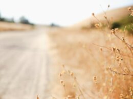 Foto por: Sixteen Miles Out/ Unsplash Images