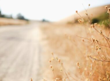 Foto por: Sixteen Miles Out/ Unsplash Images