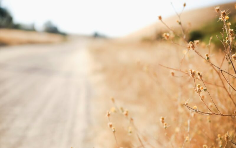 Foto por: Sixteen Miles Out/ Unsplash Images