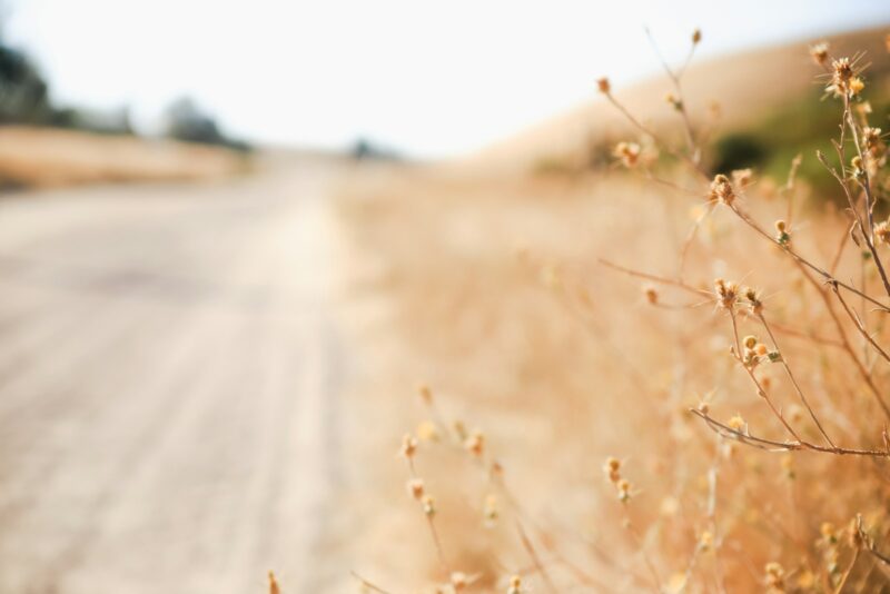 Foto por: Sixteen Miles Out/ Unsplash Images