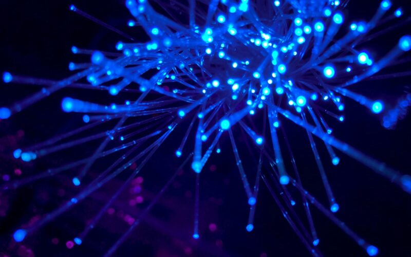 purple and blue light digital wallpaper