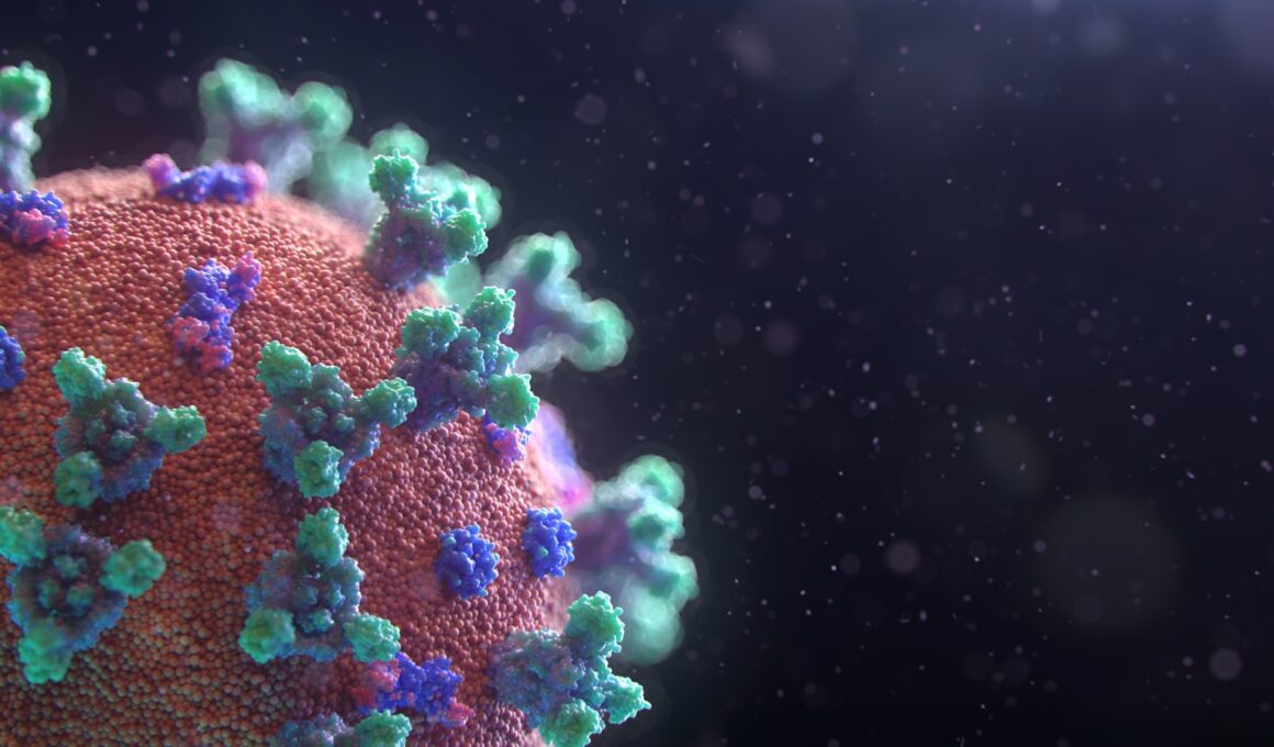 Foto por: Fusion Medical Animation/ Unsplash Images