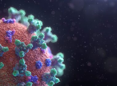 Foto por: Fusion Medical Animation/ Unsplash Images
