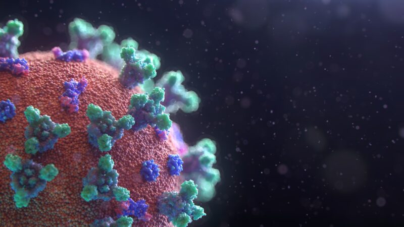 Foto por: Fusion Medical Animation/ Unsplash Images