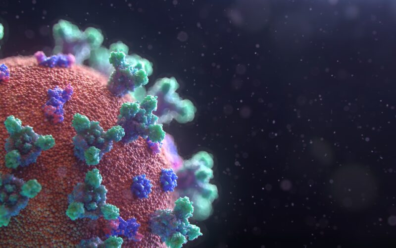 Foto por: Fusion Medical Animation/ Unsplash Images