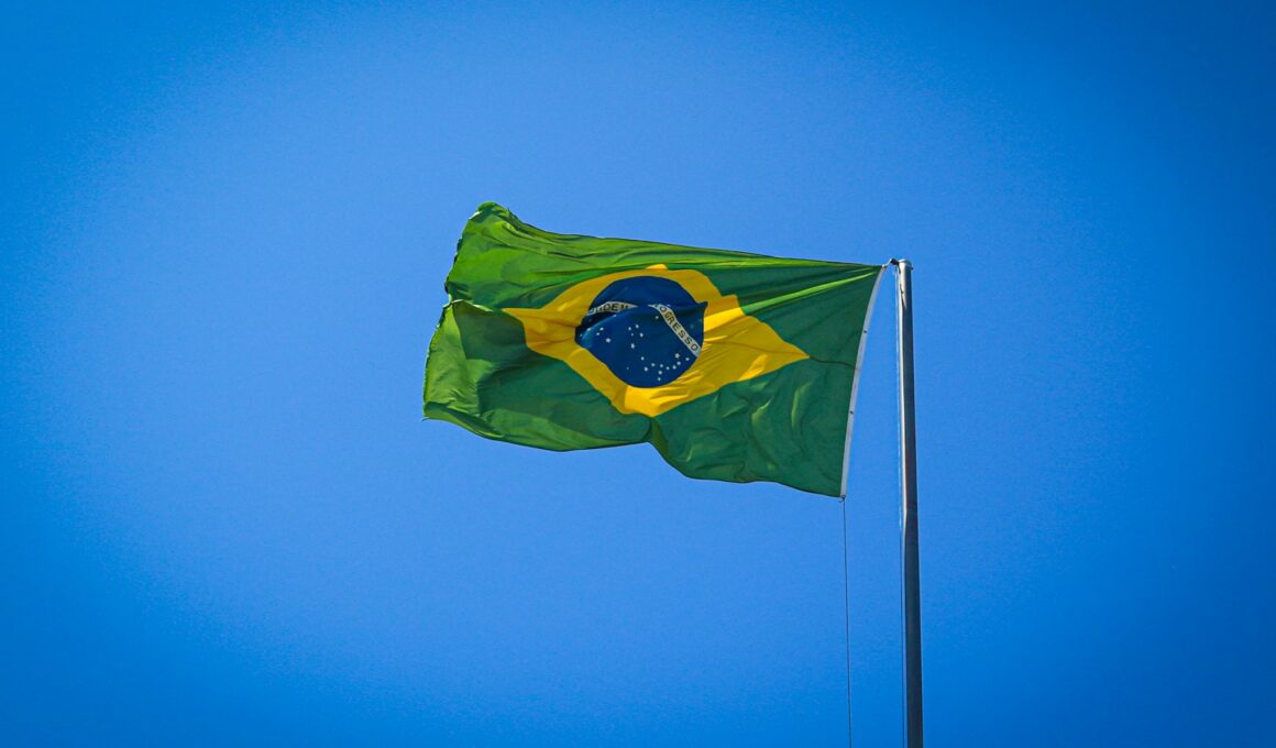 a flag flying in the air