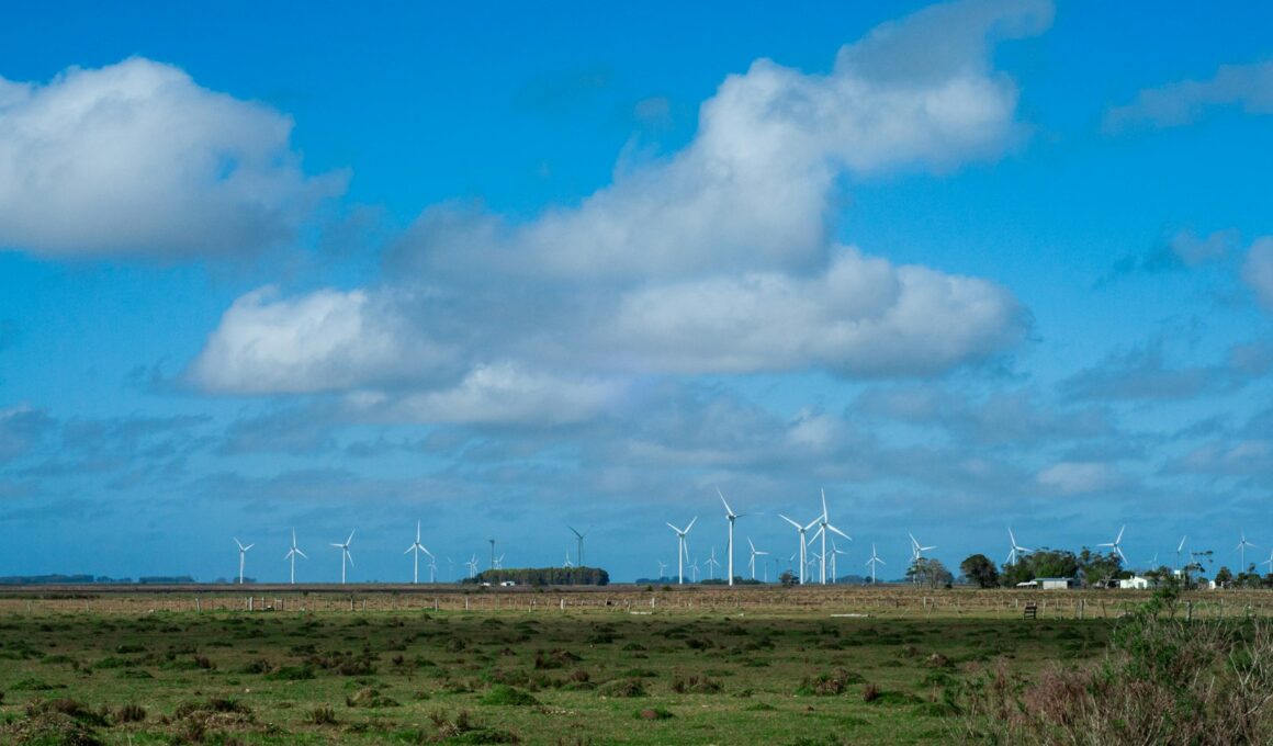 a field with a bunch of wind turbines in the distance