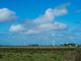 a field with a bunch of wind turbines in the distance