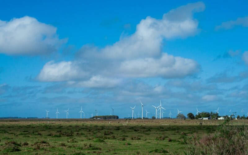 a field with a bunch of wind turbines in the distance