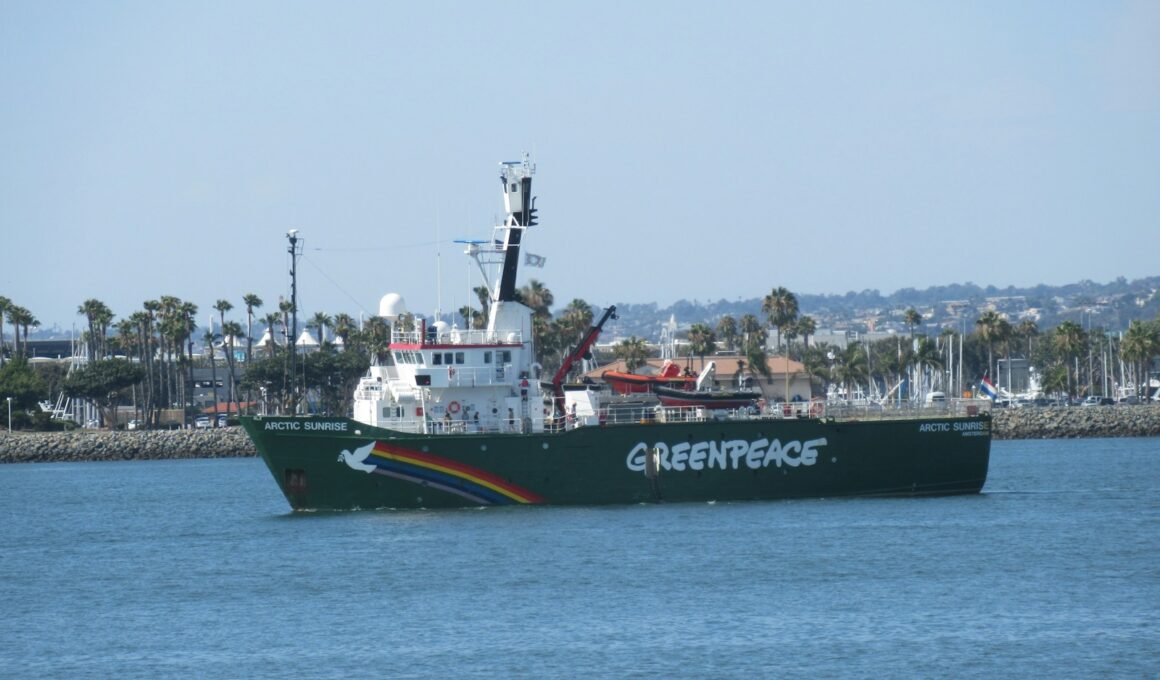 black and white ship on sea under white sky during daytime