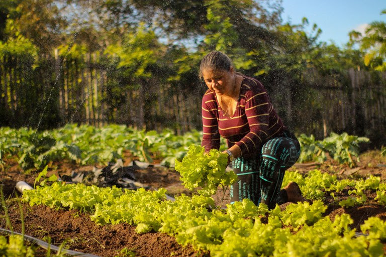 Programa de Aquisição de Alimentos chega aos 22 anos com avanços na promoção da segurança alimentar / Foto: Yako Guerra - MDS / Divulgação