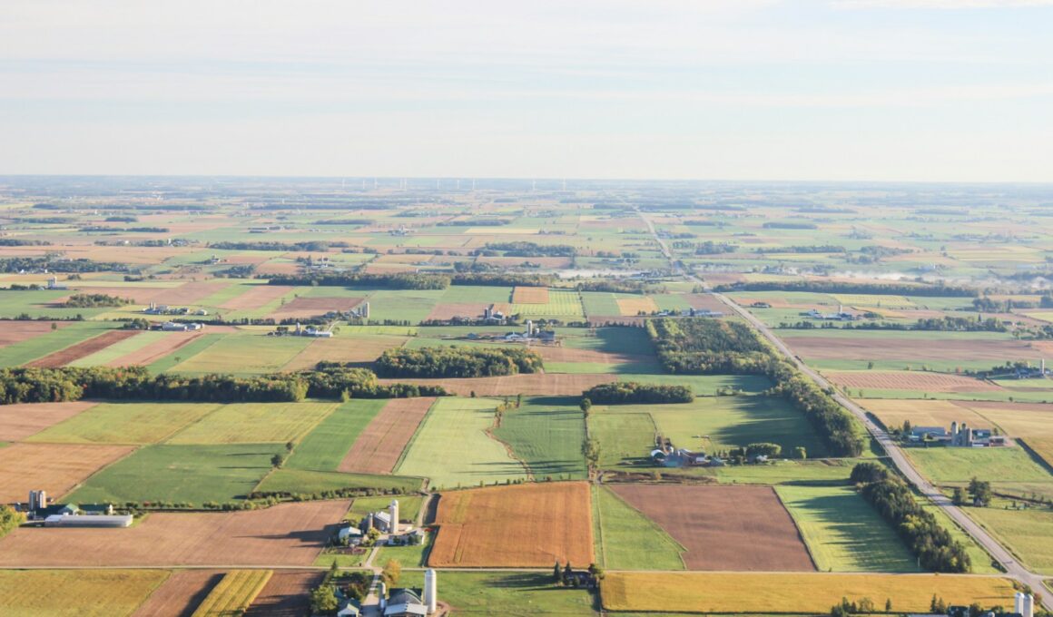 aerial photography of brown and green fileds