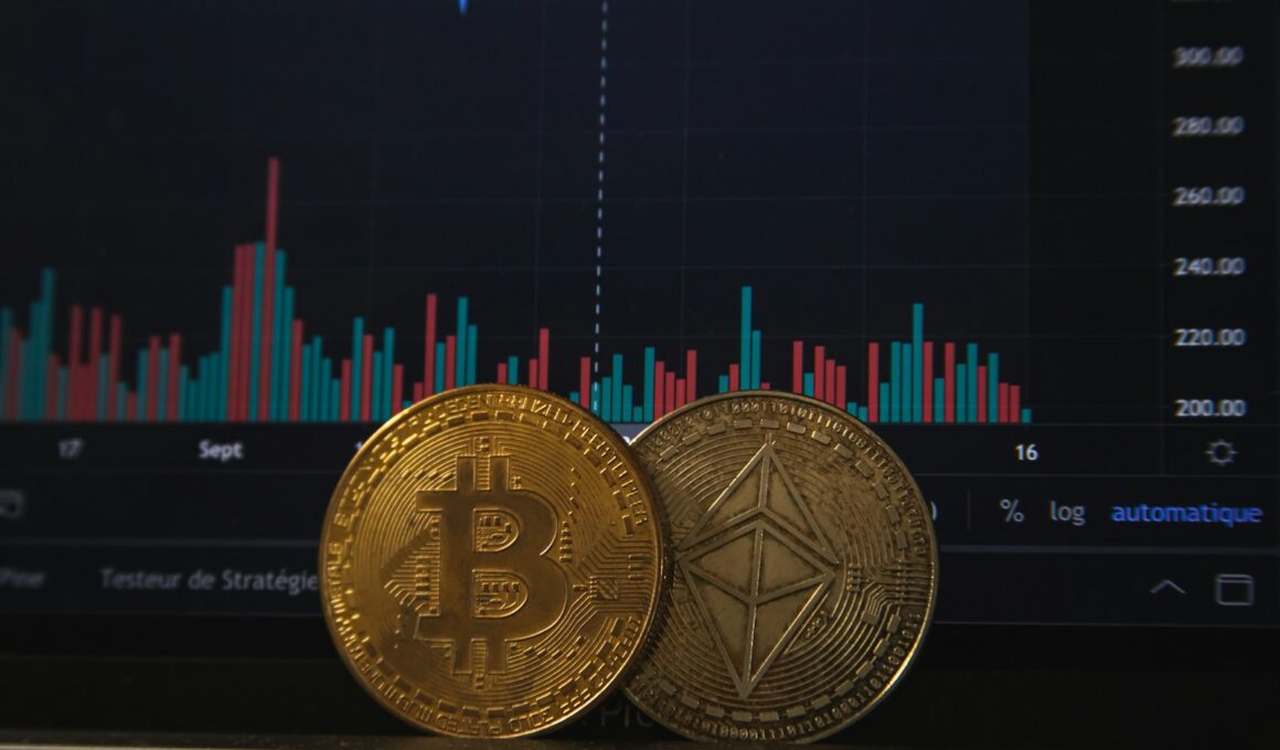 Bitcoin ultrapassa US$ 123 mil e reforça sua posição como "novo ouro digital" em meio à incerteza global / Foto: Pierre Borthiry - Peiobty / Unsplash