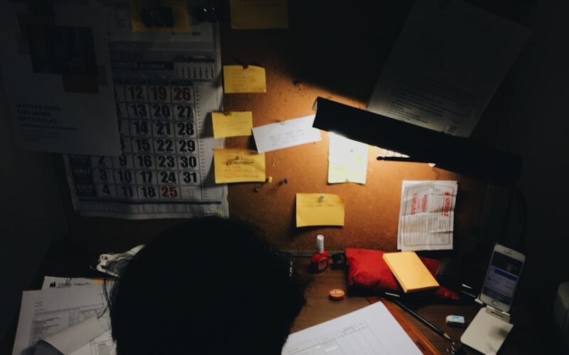 a person sitting at a desk in front of a lamp