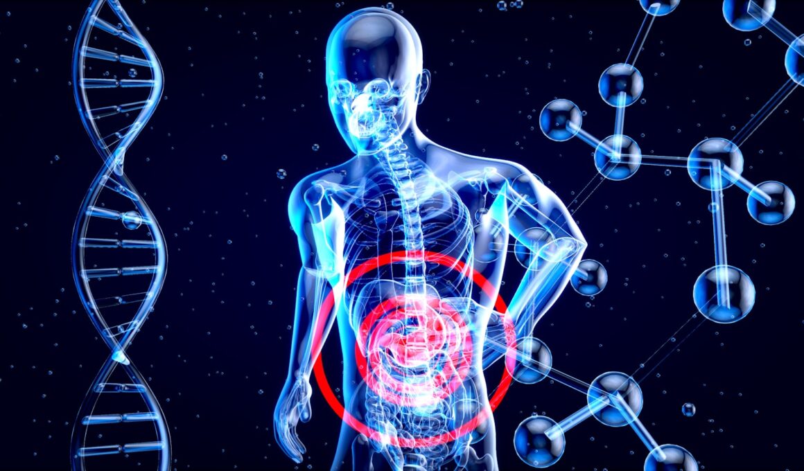 a 3d image of a human with a red circle in his stomach