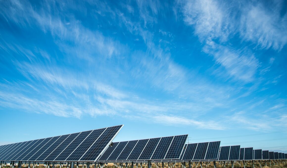 Foto por: American Public Power Association/ Unsplash Images
