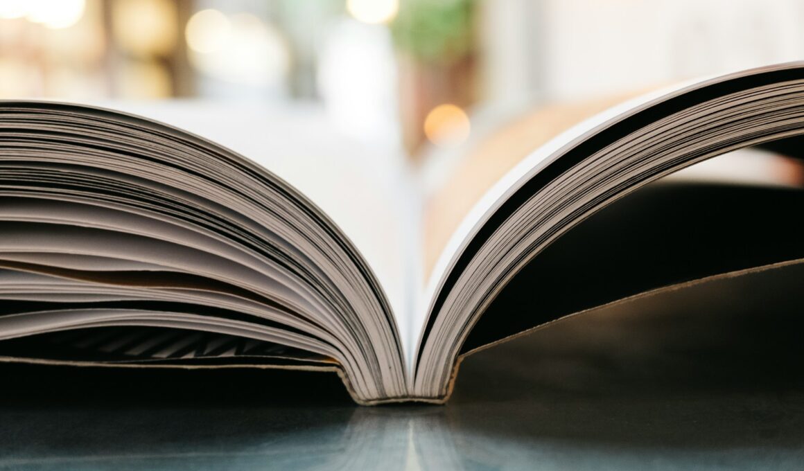 bokeh photography of open book