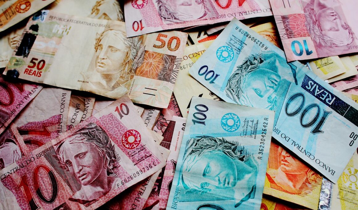 ballots, money, real, note, brazilian currency, brazil, fifty reals, currency, income, wage, finances, brazilian reais, one hundred reais, ten reais, money image, money picture, five reais