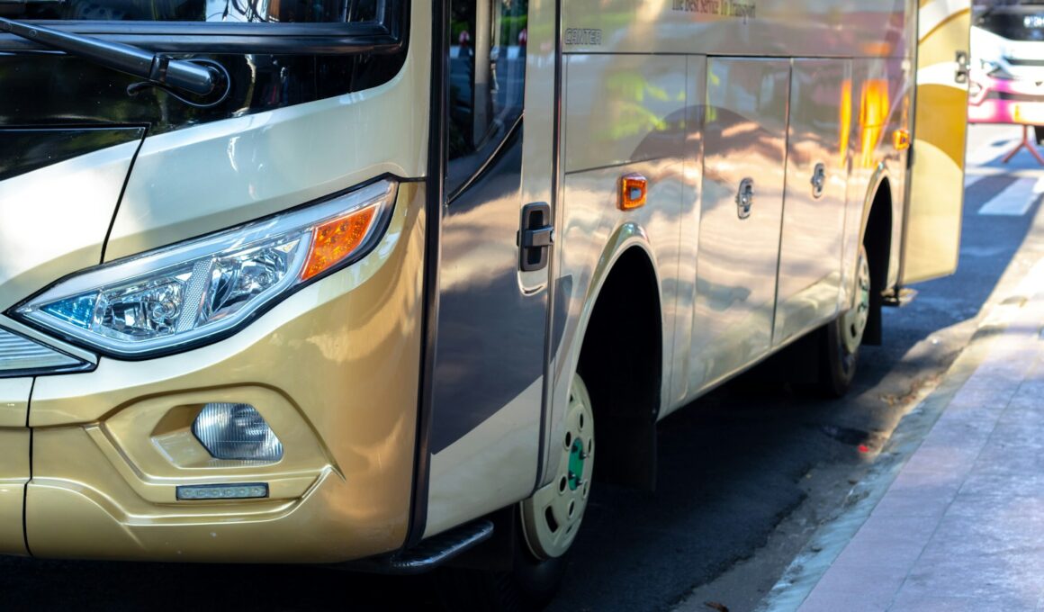 white and brown bus