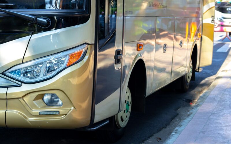 white and brown bus