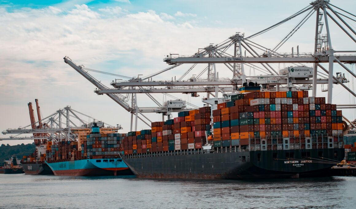 cargo ships docked at the pier during day