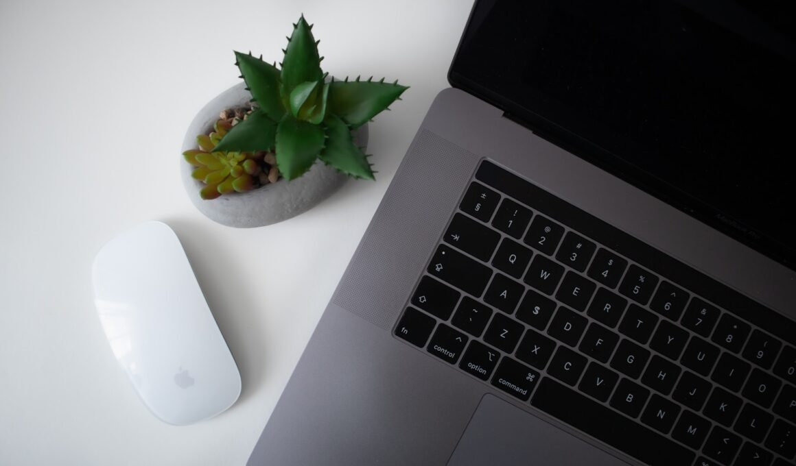 Foto por: vonvix/ Unsplash Images