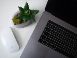 Foto por: vonvix/ Unsplash Images