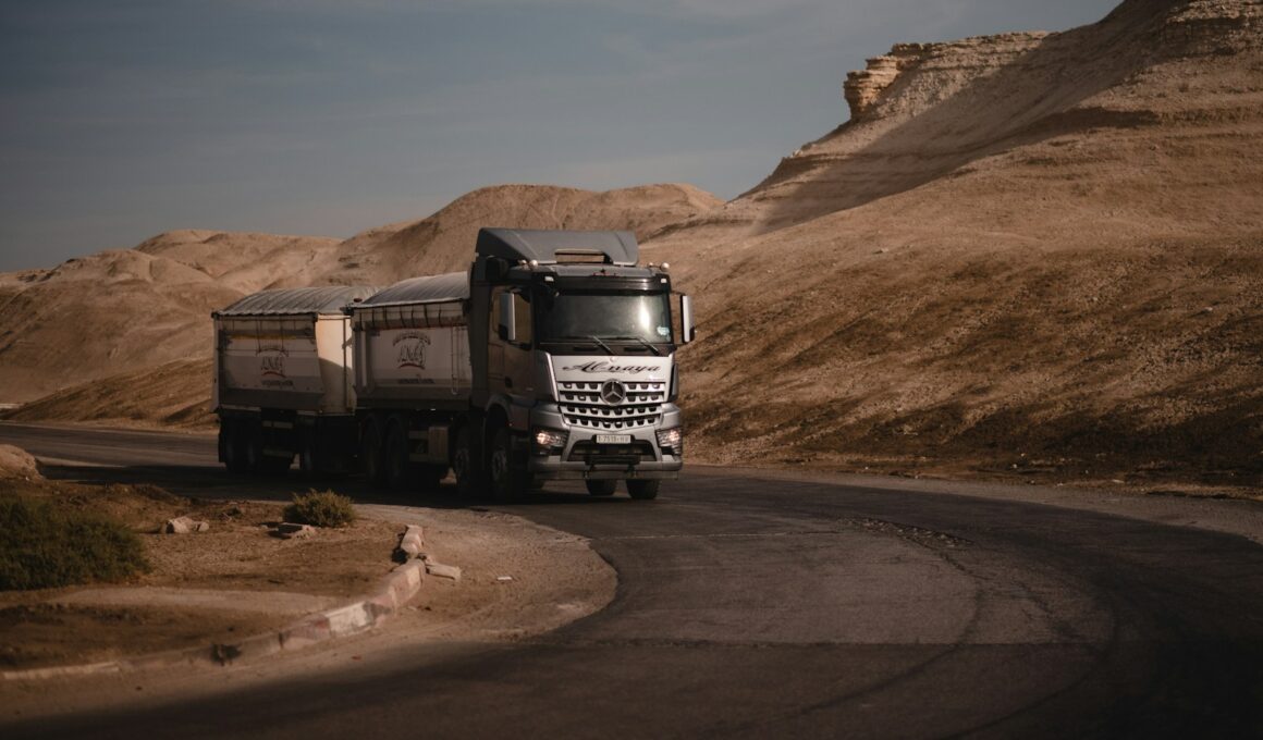white and black truck on road during daytime