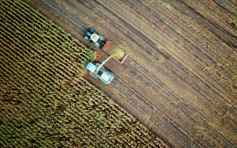 Observatório do Seguro Rural do FGV Agro pede desbloqueio do orçamento do Seguro Rural / Foto: Unsplash