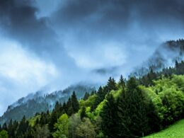 Foto por: Guy Bowden/ Unsplash Images