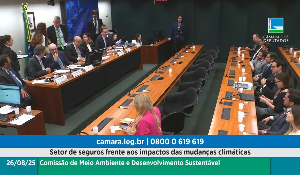 Audiência na Câmara debate papel estratégico do setor de seguros diante das mudanças climáticas / Reprodução / TV Câmara