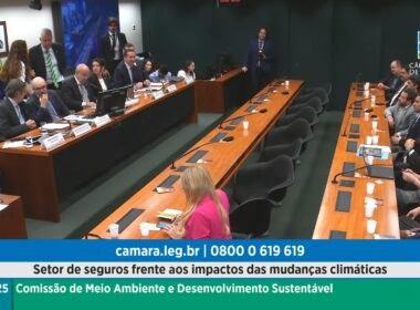 Audiência na Câmara debate papel estratégico do setor de seguros diante das mudanças climáticas / Reprodução / TV Câmara