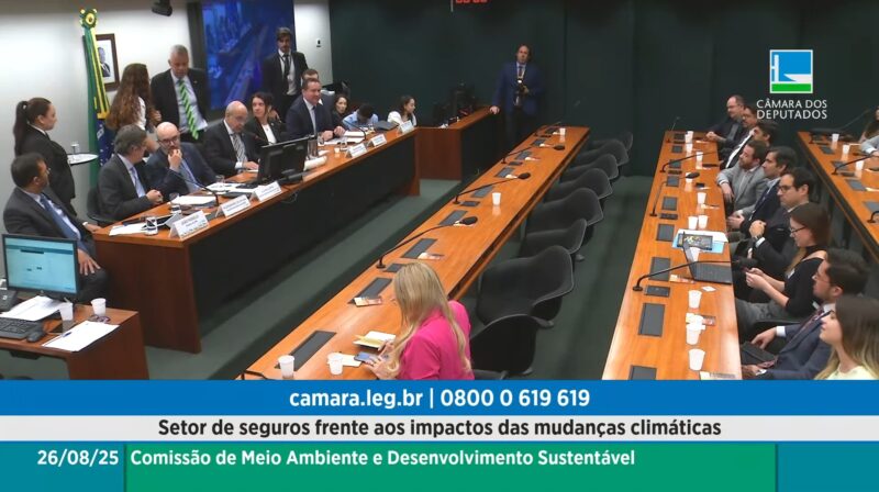 Audiência na Câmara debate papel estratégico do setor de seguros diante das mudanças climáticas / Reprodução / TV Câmara