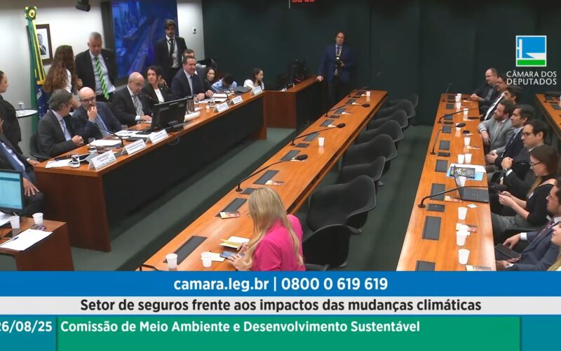 Audiência na Câmara debate papel estratégico do setor de seguros diante das mudanças climáticas / Reprodução / TV Câmara
