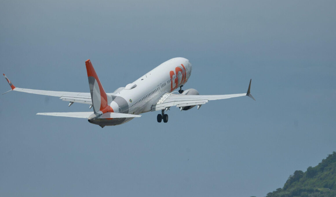 Boeing 737 MAX da GOL (Foto: Divulgação GOL)
