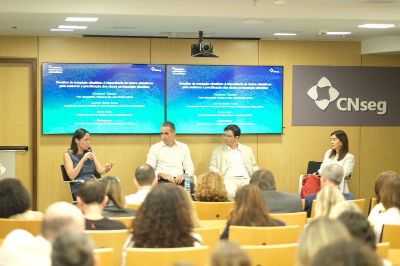 Representantes do ICS, MMA, UFSJ e CNseg durante debate sobre aprimoramento de informações para enfrentamento climático. Divulgação.