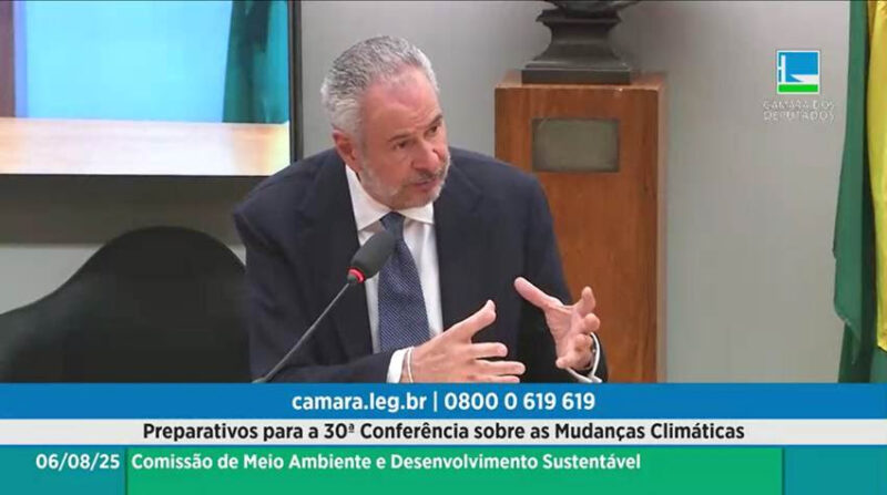 / Divulgação