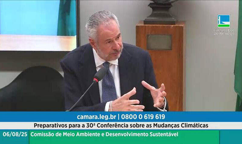 / Divulgação