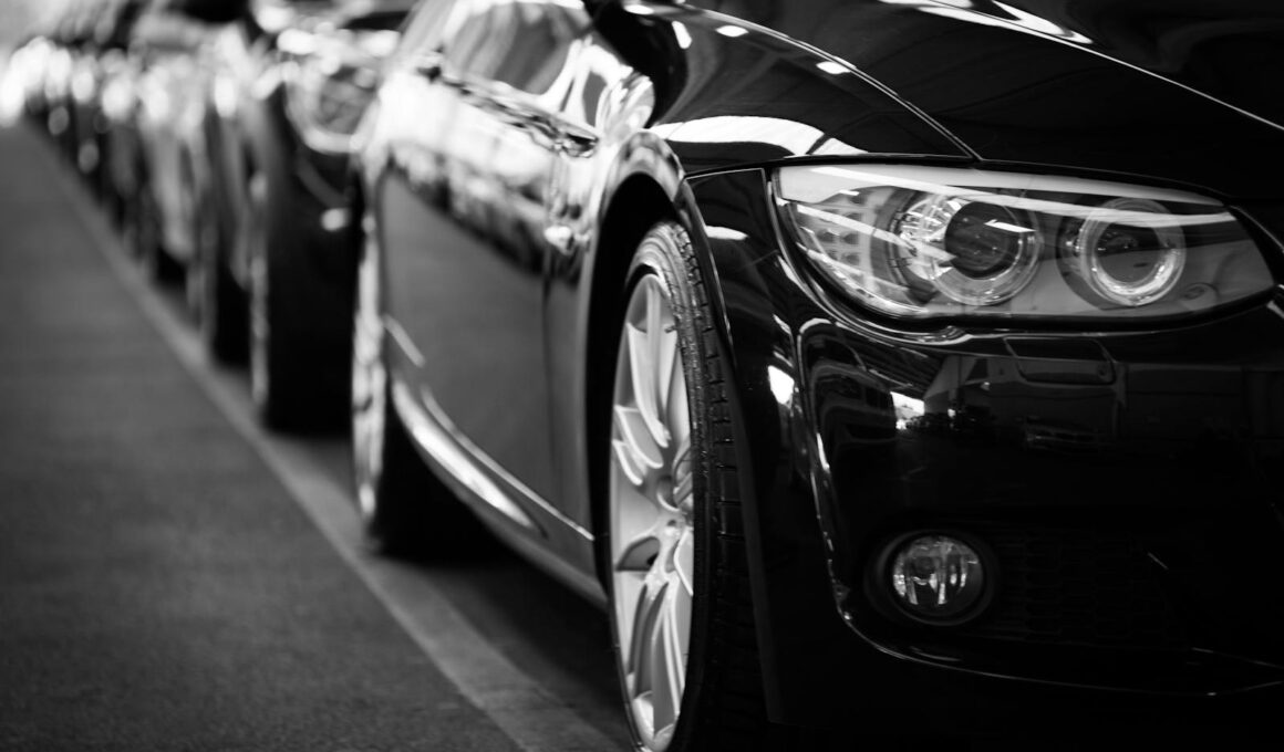 Foto por: Torsten Dettlaff/ Pexels