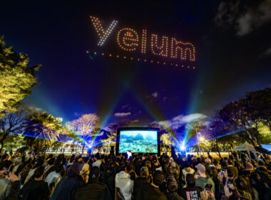 Festival de Luzes - Ibirapuera