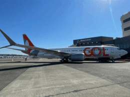 Foto: Aeronave Boeing MAX 8 (prefixo PS-GRM), a 58ª deste modelo da frota da GOL / Divulgação GOL