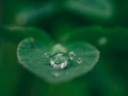 Foto por: Aaron Burden/ Unsplash Images