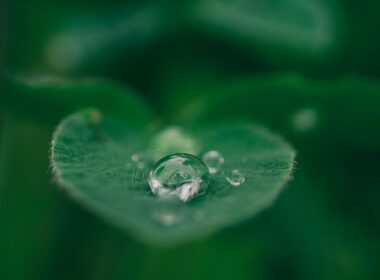 Foto por: Aaron Burden/ Unsplash Images