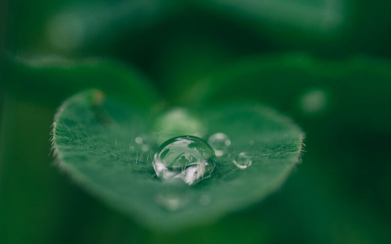 Foto por: Aaron Burden/ Unsplash Images