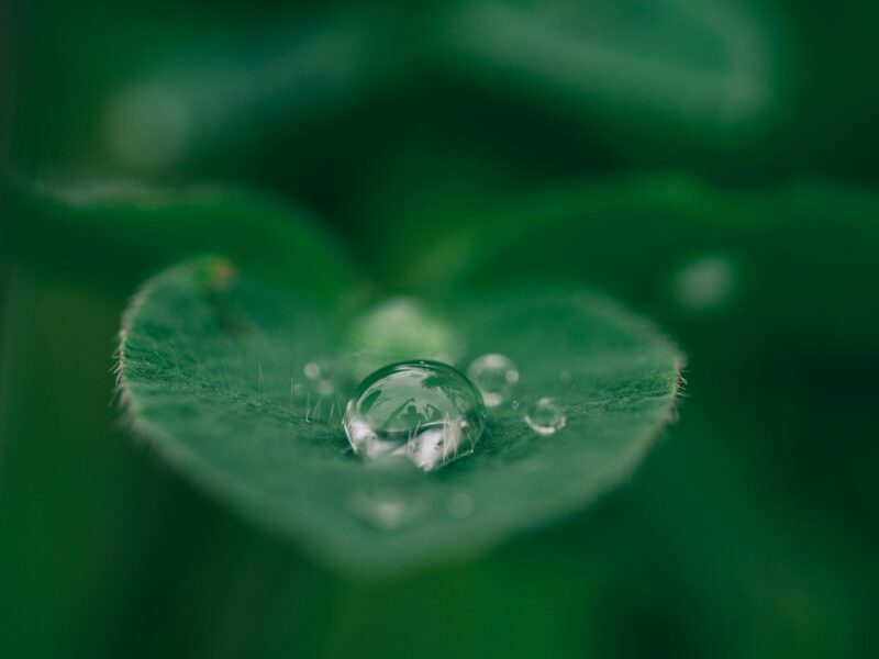 Foto por: Aaron Burden/ Unsplash Images