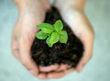 Foto por: Jennifer Delmarre/ Unsplash Images