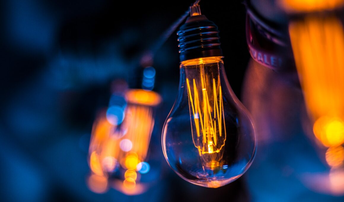 selective focus photography of clear light bulb