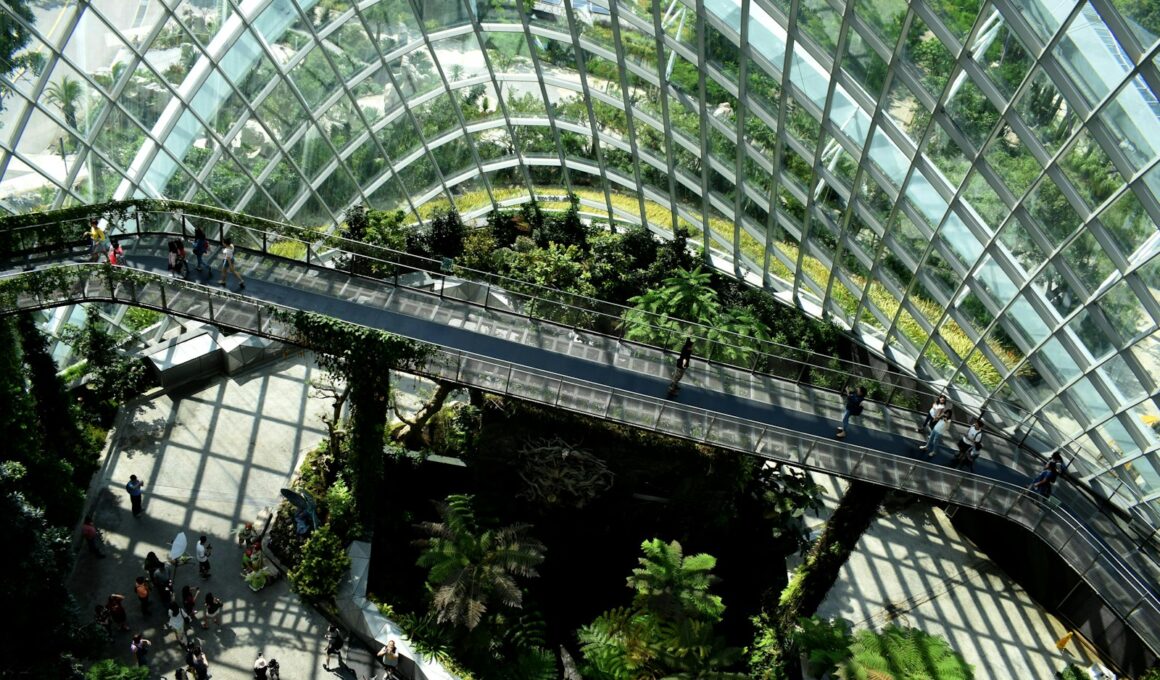 architectural photography of glass building