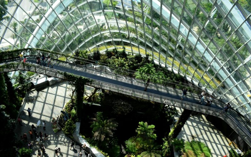 architectural photography of glass building